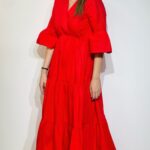 Sorena Red Dress