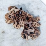 Delulu Leo Earrings